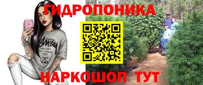 дживик Шелехов