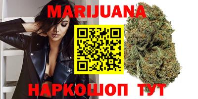 дживик Шелехов