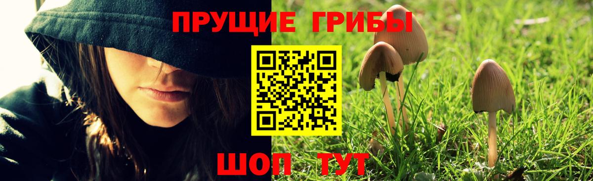 Псилоцибиновые грибы мухоморы Людиново